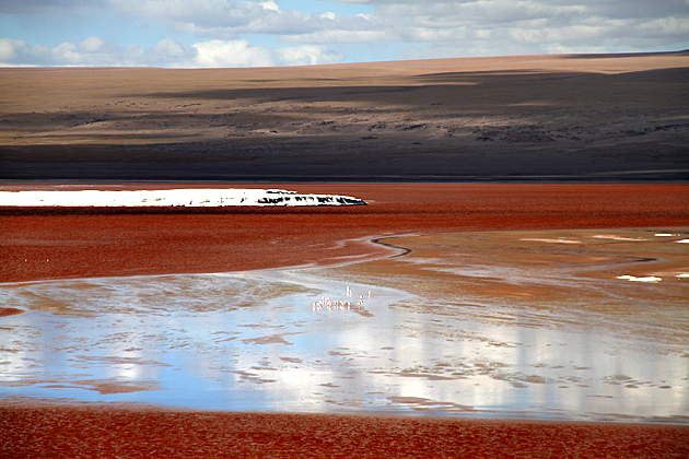 Read more about the article The Laguna Colorada