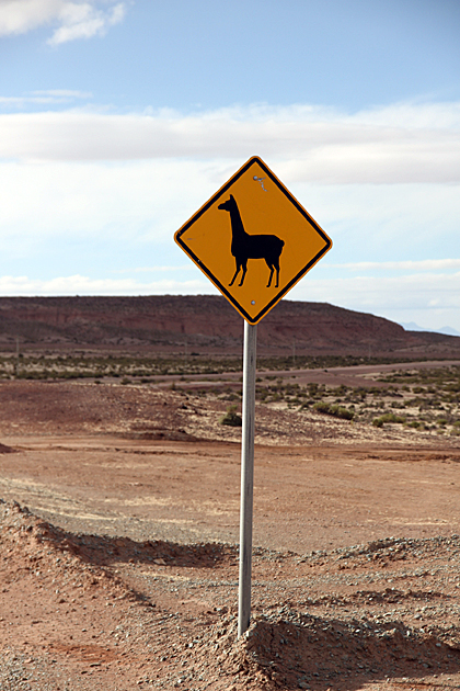 Read more about the article The Road to Uyuni – Pictures