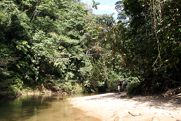 Read more about the article A River Hike into the Amazonian Rainforest